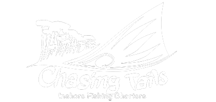 Chasing Tails Inshore Fishing